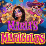 MariasMarigolds