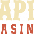 Rapid Casino