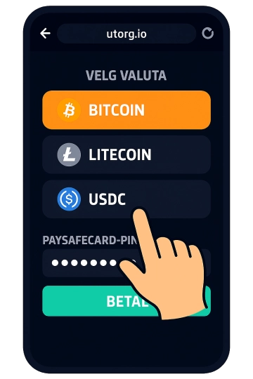 Betal med ditt Paysafecard ved å taste inn PIN-koden