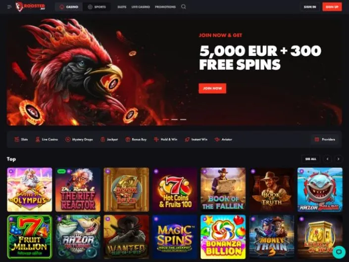 Rooster Bet Casino_